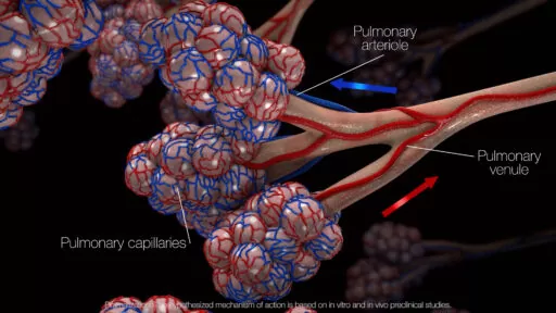 medical animation created by highbeamstudios